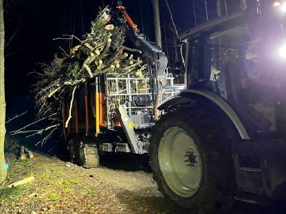 Bild 9:Forstarbeiten