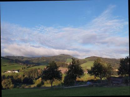 Bild 4:Einstellplatz