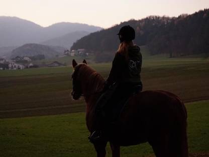 Bild 5:Einstellplätze frei