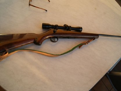 Norinco 22 Magn. Schonzeitwaffe