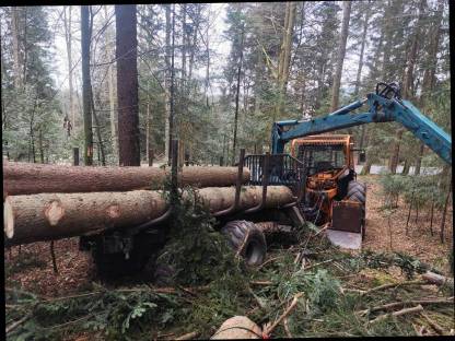 Bild 5:Case CS 110 mit Ritter Forstverbau