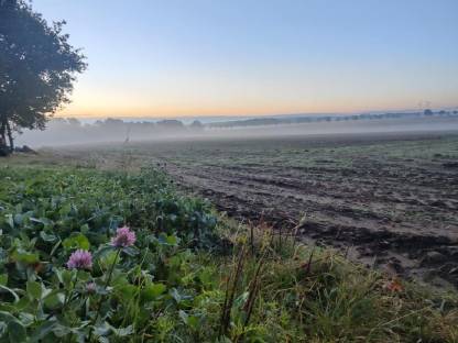 70 ha arrondierter Ackerbaubetrieb im LK Uelzen zu verkaufen