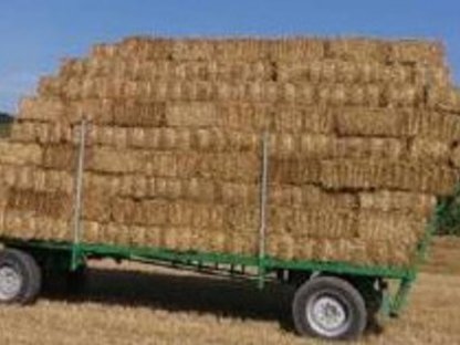 Suche Kleinballen Weizen oder Roggen in Wullersdorf