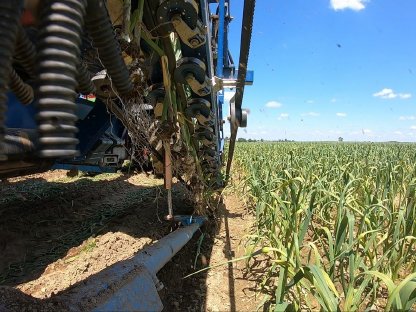 Bild 7:Knoblauch-Klemmbandroder ASA-Lift T-1300 B