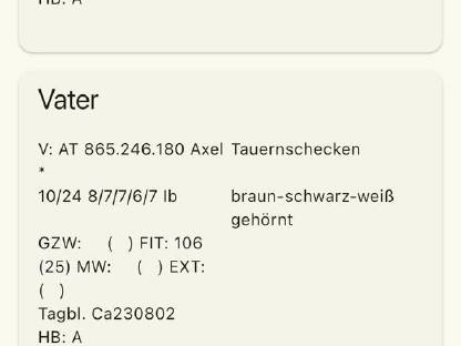 Bild 8:Tauernschecken Jungbock Rocky