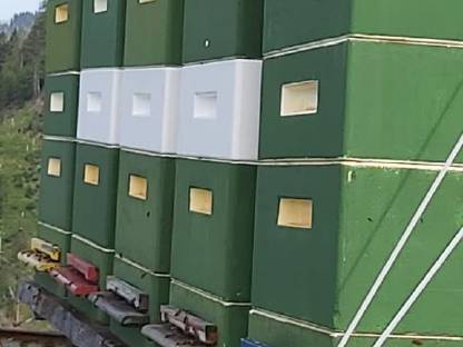Bienen Imker