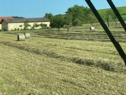 Bild 3:Heu 1. & 2. Schnitt Ernte 2025