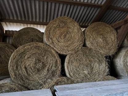 Bild 3:Heuballen