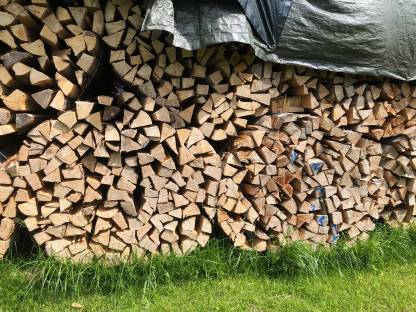 Bild 5:Brennholz Fichte und Buche