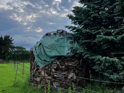 Brennholz gemischt ofenfertig