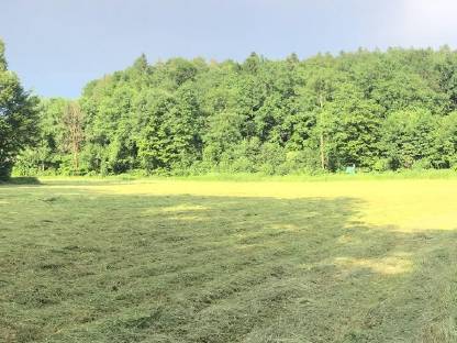 Bild 4:Heu in Kleinballen