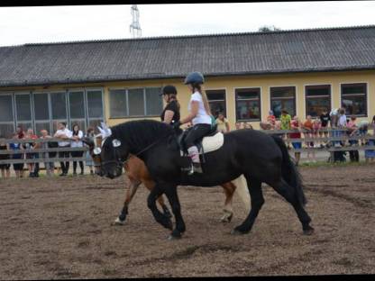 Noriker Glanzrappe