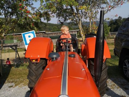 Bild 2:Steyr 190, Bj. 1964