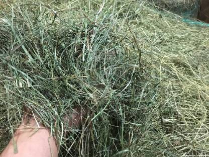 Bild 2:Stroh, Pferdeheu, Heißluftluzerne