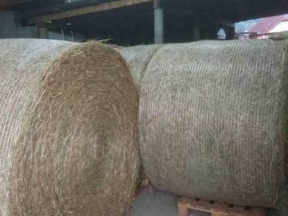 Bild 3:Heu Rundballen, Pferdeheu