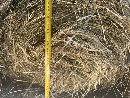 Bild 2:Heuballen klein