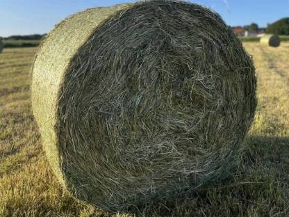 Heurundballen 2. Schnitt 2025