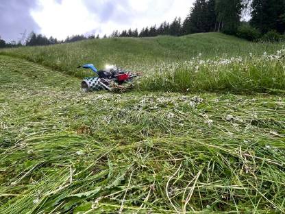 Mäharbeiten mit Brielmair