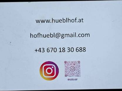 Bild 6:Wildfleisch, Rindfleisch, Jause