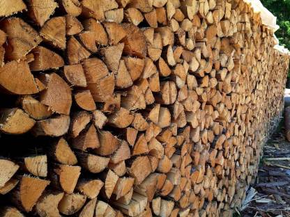 Brennholz