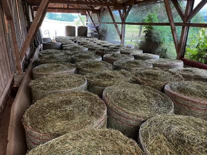 Bild 3:Heu, Heurundballen