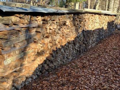 Bild 3:Buchenbrennholz trocken