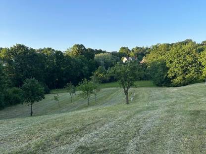 Bild 4:Heu in Kleinballen