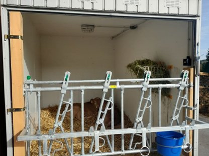 Bild 2:Kälberhütte, Kälberstall, Kälberiglu