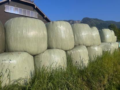 Bild 2:Siloballen