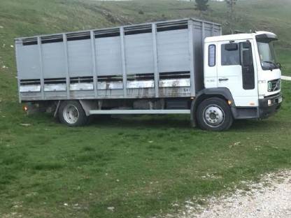 Bild 2:Volvo LKW FL250