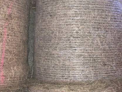 Streuballen Einstreuballen Moorstreu 1,25 m geschnitten