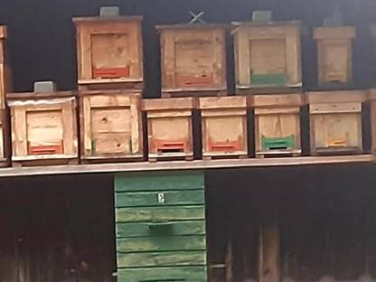 Bild 3:Bienen Imkereiauflösung