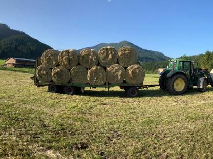 Bild 3:Heuballen und Grummetballen