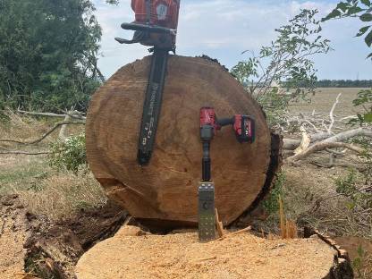 Bild 5:Forstarbeiten