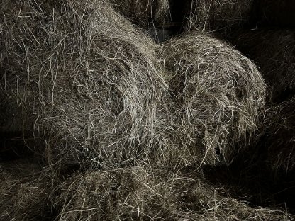 Bild 4:Heurundballen