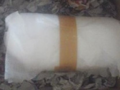 Bild 8:Bruteier Brahma goldschwarz gesäumt große Rasse