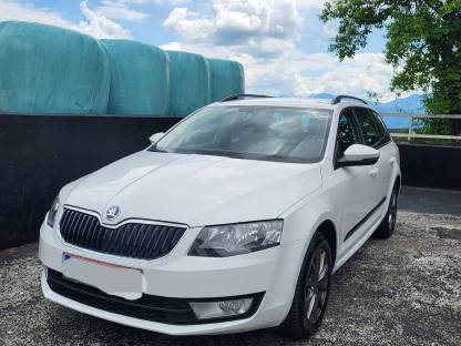 Skoda Octavia Combi 1,6 Ambition TDI 4x4 Green tec