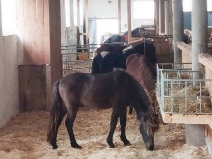 Bild 5:Einstellplatz