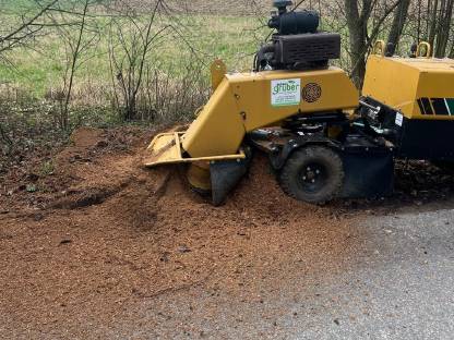 Bild 5:Suche Facharbeiter/Helfer für Forst und Garten