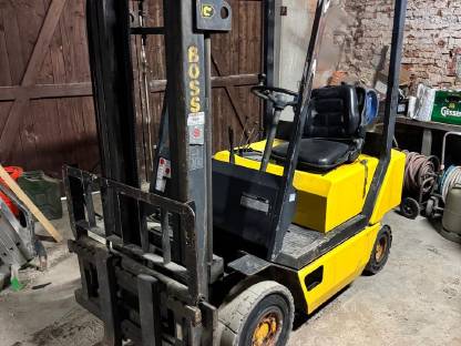 Stapler 1,6 t mit Seitenverschub