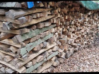 Bild 3:Brennholz Buche