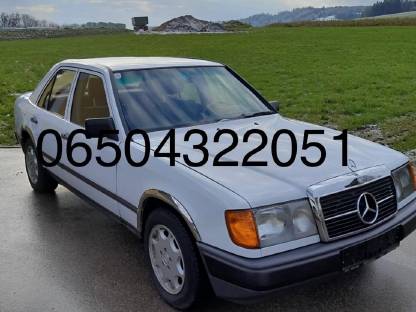 Mercedes 250D124