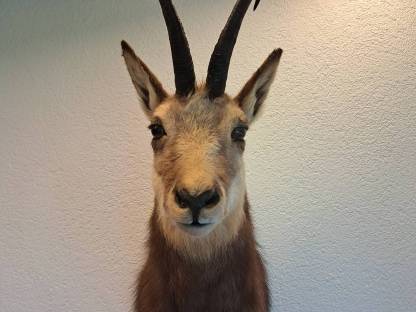 Präparate