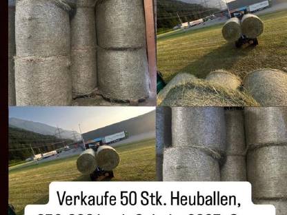 Rundballen (Heuballen)