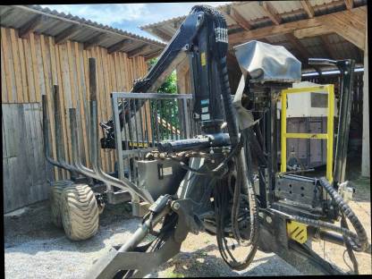 Palms 10t
