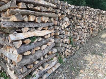 Brennholz
