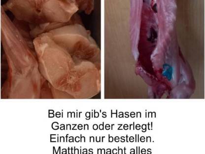 Kaninchen/Hasen
