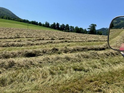 Bild 3:Heu Rundballen 1. Schnitt 2025