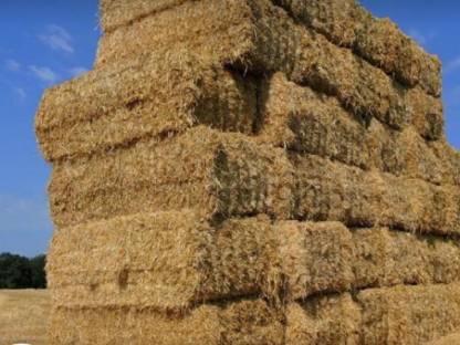 Quader Gerstenstroh € 12ct/kg