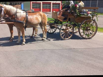 Kutsche Wagonette